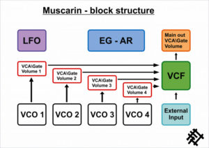 Muscarin semi-modular analog synthesizer