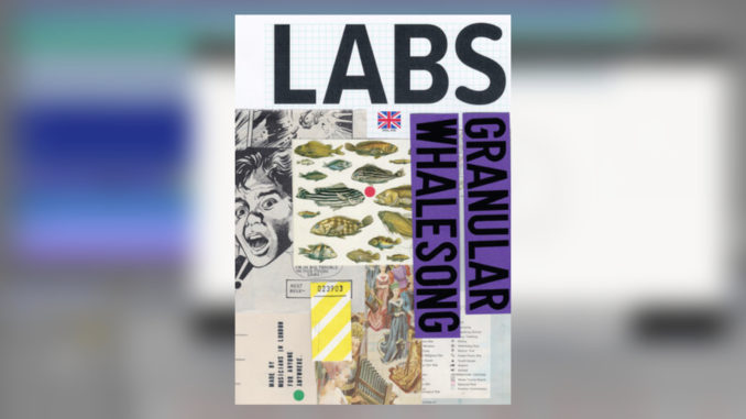 Spitfire Labs Granular Whalesong