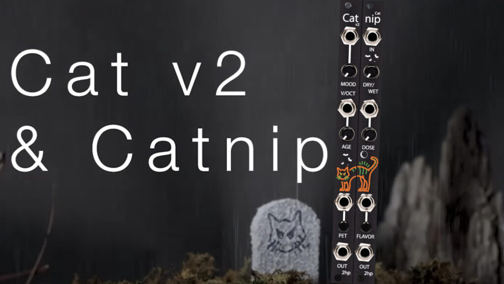 2hp Cat v2 & Catnip