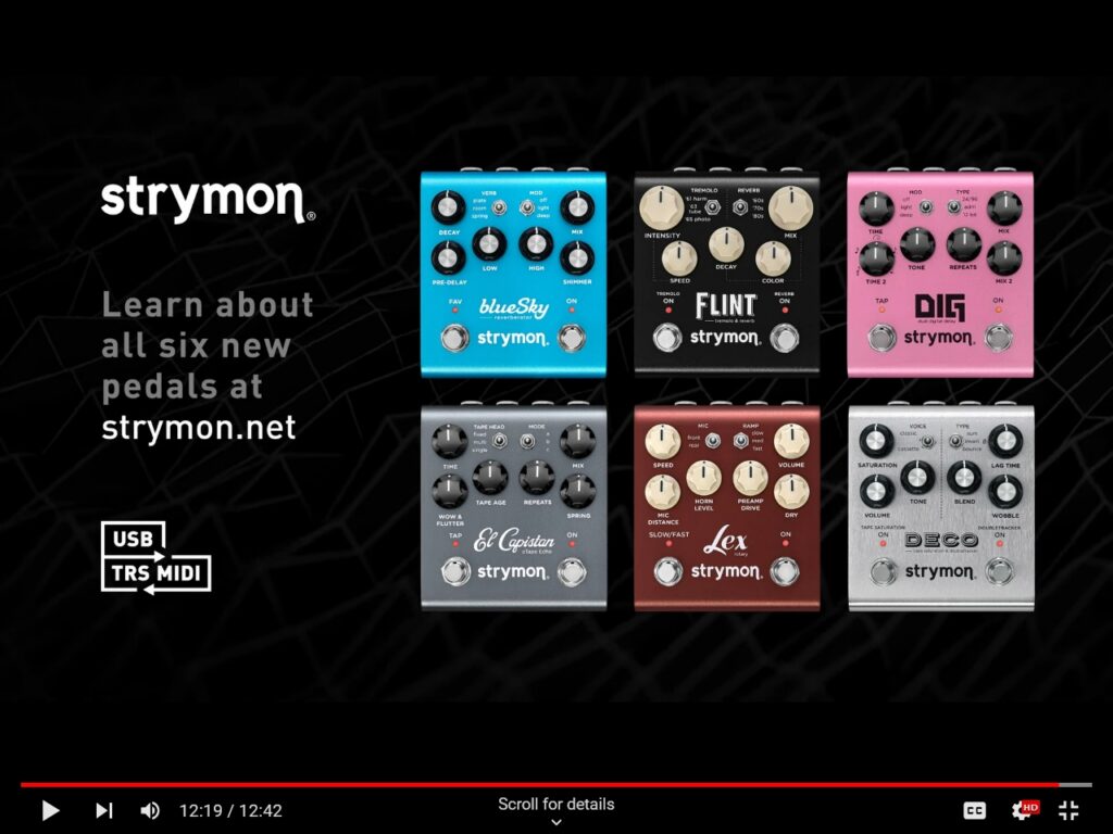 Leak strymon pedals