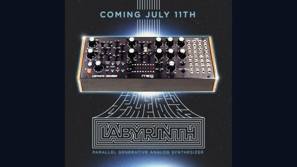 Moog Labyrinth Leak