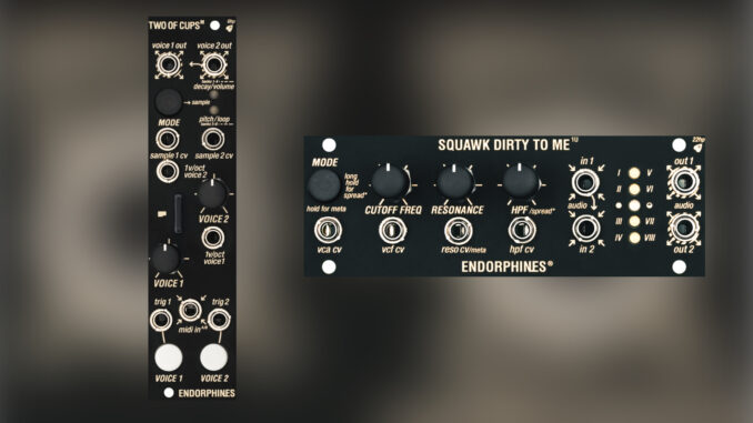 Endorphin.es Two Of Cups M