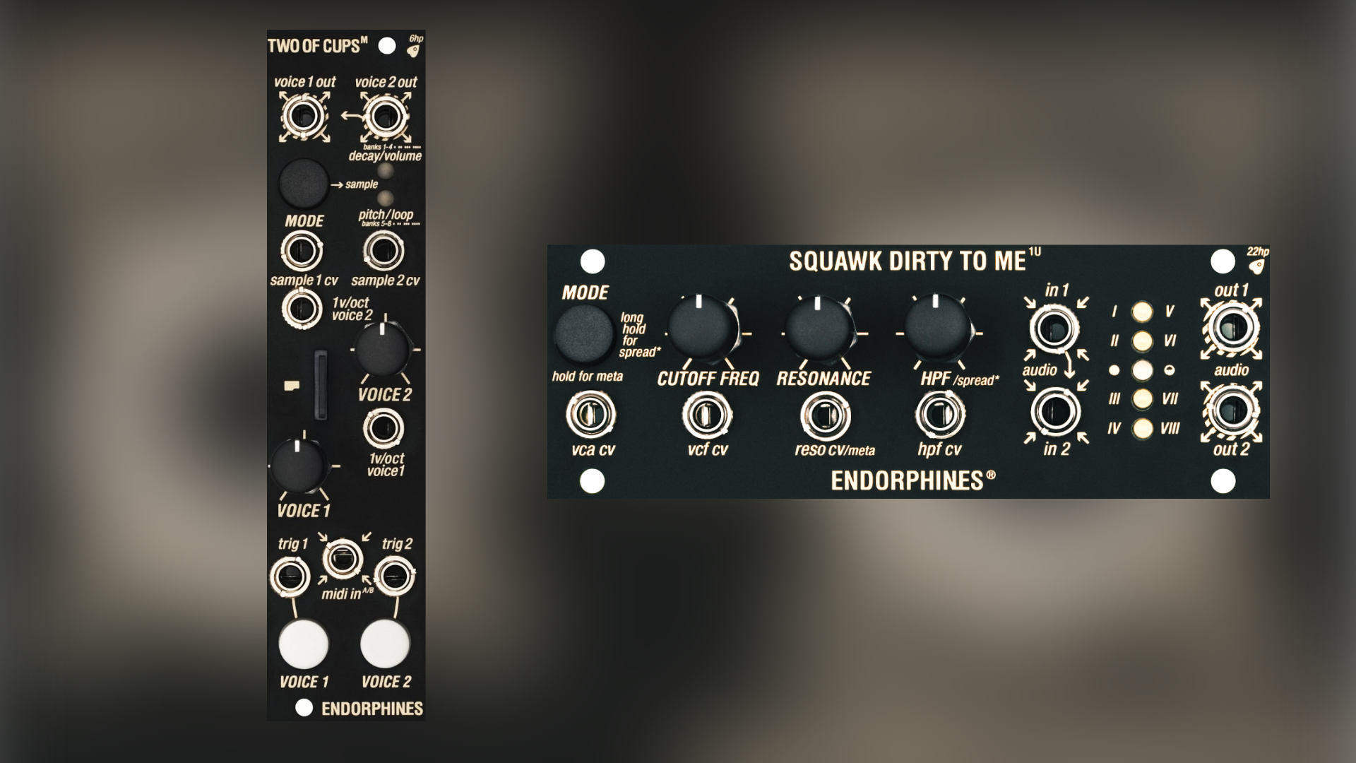 Endorphin.es Two Of Cups M