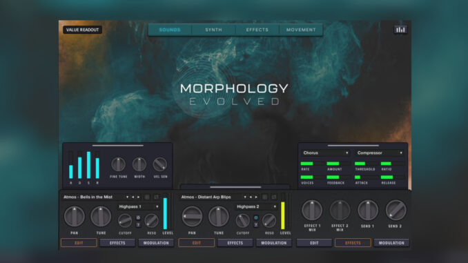 Zero-G Morphology Evolved